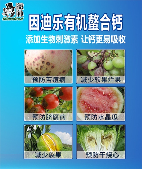 因迪樂(lè)有機(jī)螯合鈣