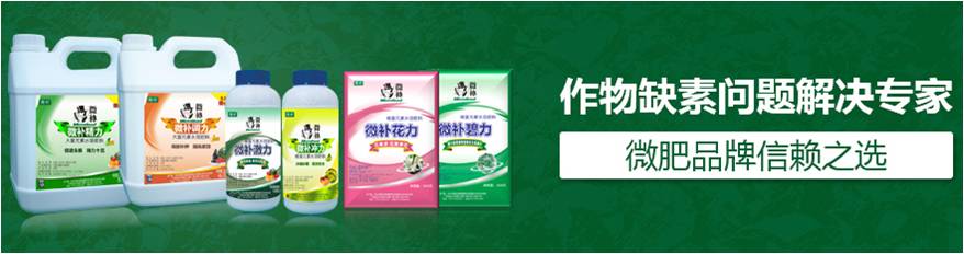 #微肥課堂#為什么葉面肥養(yǎng)分含量相同，效果卻不同？