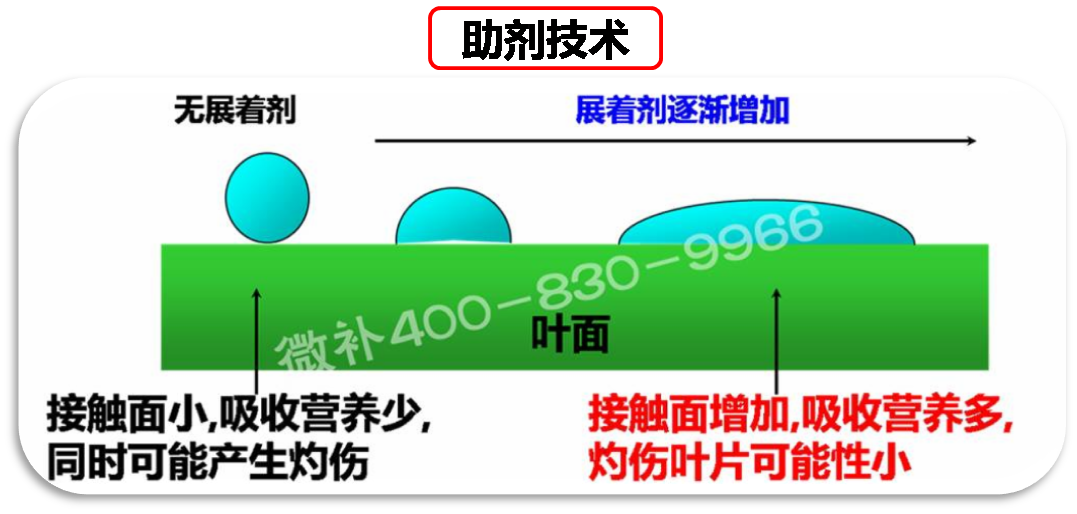 余教授德國鄉(xiāng)村行：我在德國為什么不會點啤酒了？