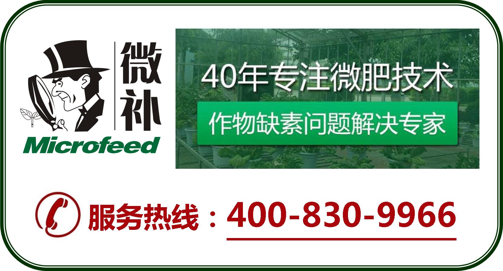 余教授德國鄉(xiāng)村行：摩澤爾河的葡萄魅力在哪兒？
