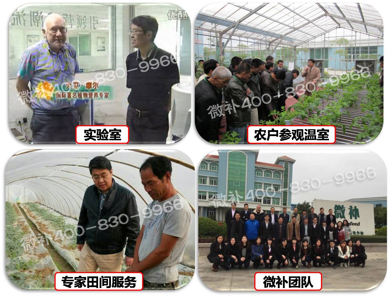 余教授奧地利維也納行：不懂音樂的農(nóng)民教授，在音樂之都的感受