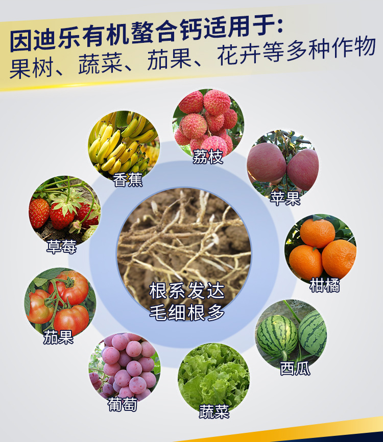 因迪樂(lè)有機(jī)螯合鈣_02.jpg
