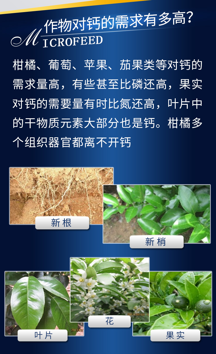 因迪樂(lè)有機(jī)螯合鈣_03.jpg