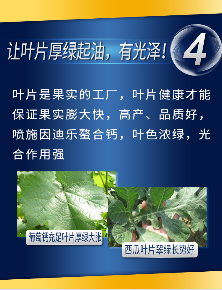 因迪樂(lè)有機(jī)螯合鈣_07.jpg