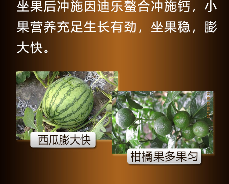 14因迪樂螯合沖施鈣【手機(jī)版】_10.jpg