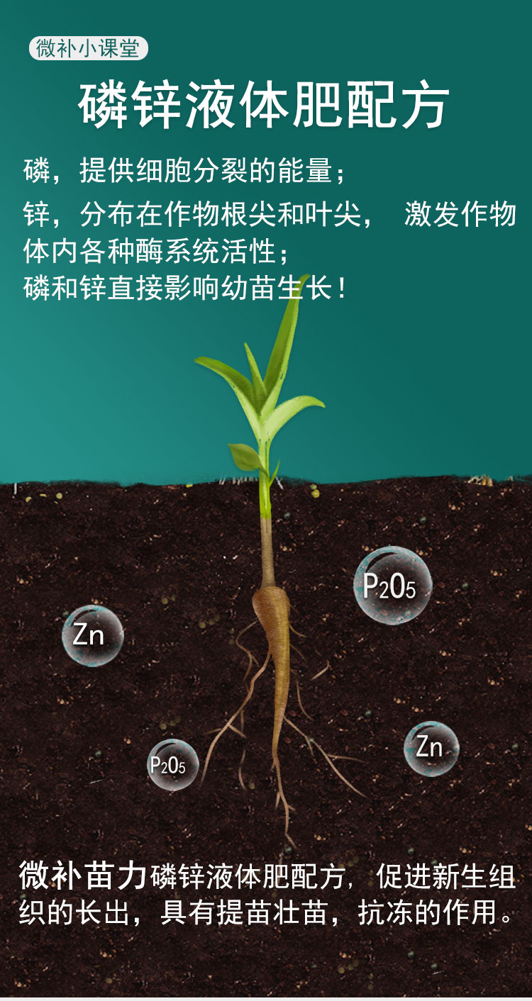 微補苗力_02.jpg