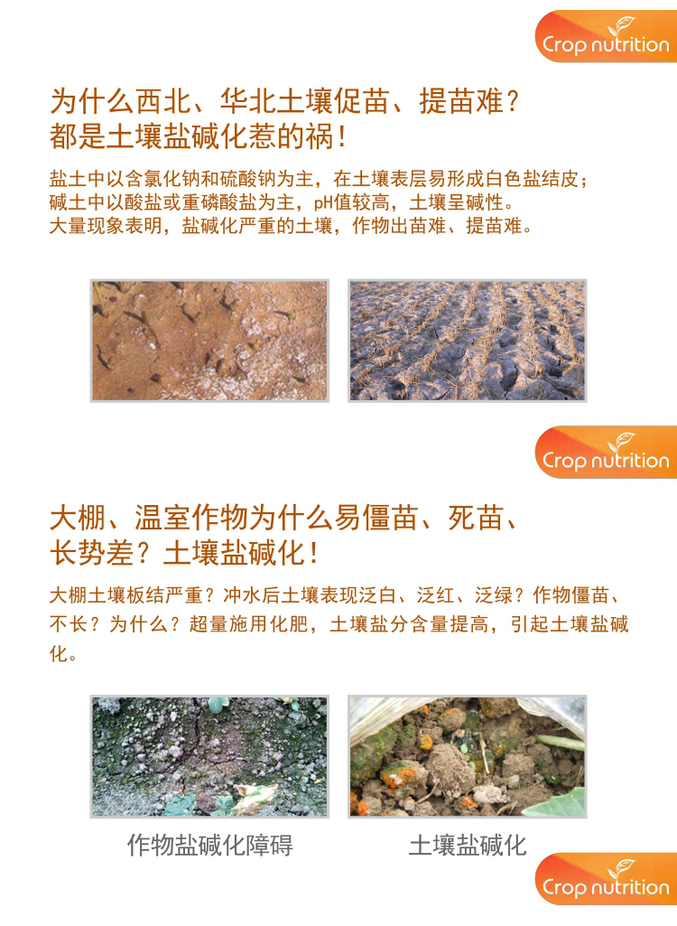 因迪樂有機(jī)鹽堿土調(diào)理水溶肥1_02.jpg