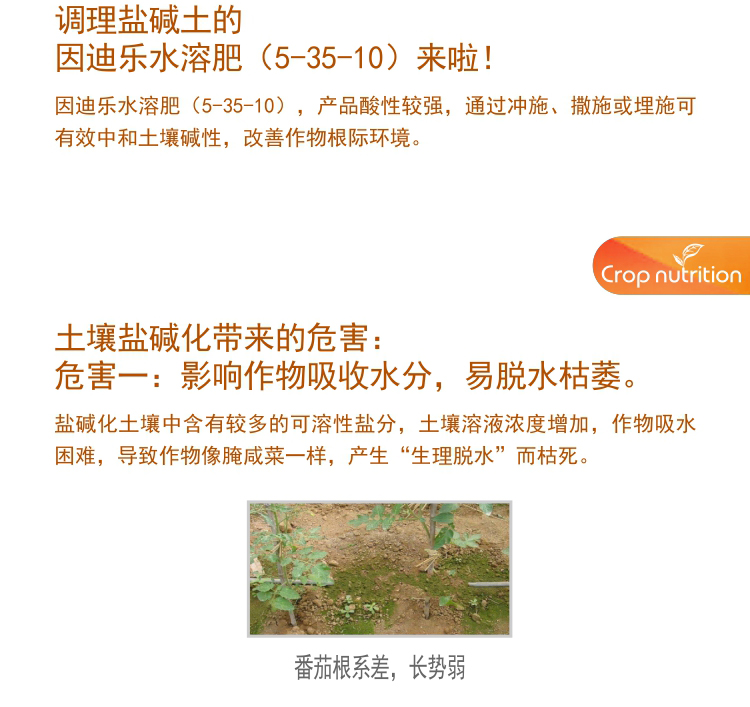 因迪樂有機(jī)鹽堿土調(diào)理水溶肥1_03.jpg