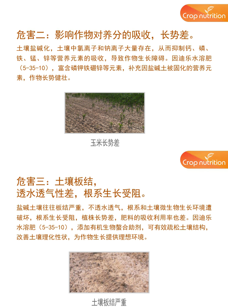 因迪樂有機(jī)鹽堿土調(diào)理水溶肥1_04.jpg