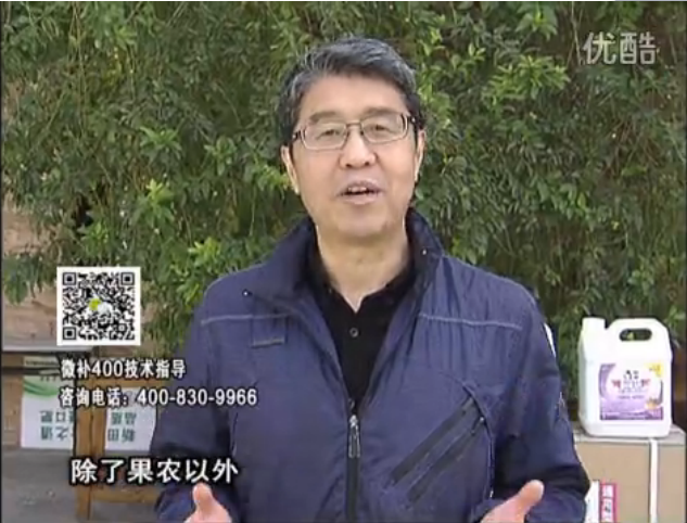20160321珠江臺(tái)搖錢樹：柑橘用微補(bǔ)方案，百萬收入不是夢(mèng)