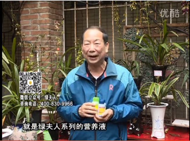 20160328珠江臺(tái)搖錢樹：蘭花養(yǎng)護(hù)用綠夫人補(bǔ)營養(yǎng)壯長勢(shì)