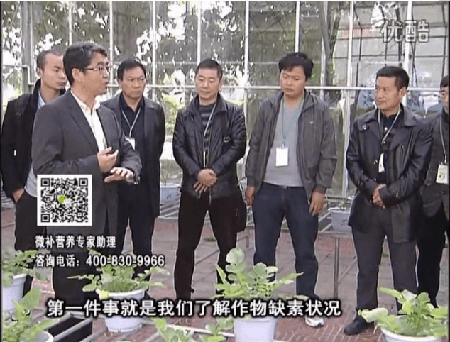 20160418珠江臺(tái)搖錢樹：和重慶種植業(yè)主走進(jìn)微補(bǔ)，探秘微補(bǔ)生產(chǎn)研發(fā)技術(shù)