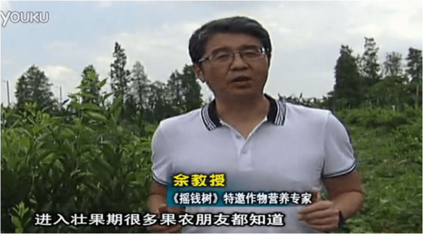 20160620珠江臺(tái)搖錢樹：柑橘淋微補(bǔ)調(diào)力、噴蓋力+壯力，調(diào)酸壯長(zhǎng)勢(shì)、膨果防裂好