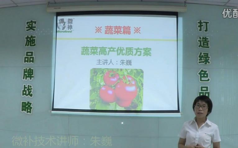 蔬菜-提苗壯長、提高坐果高產(chǎn)方案.微補(bǔ)講座