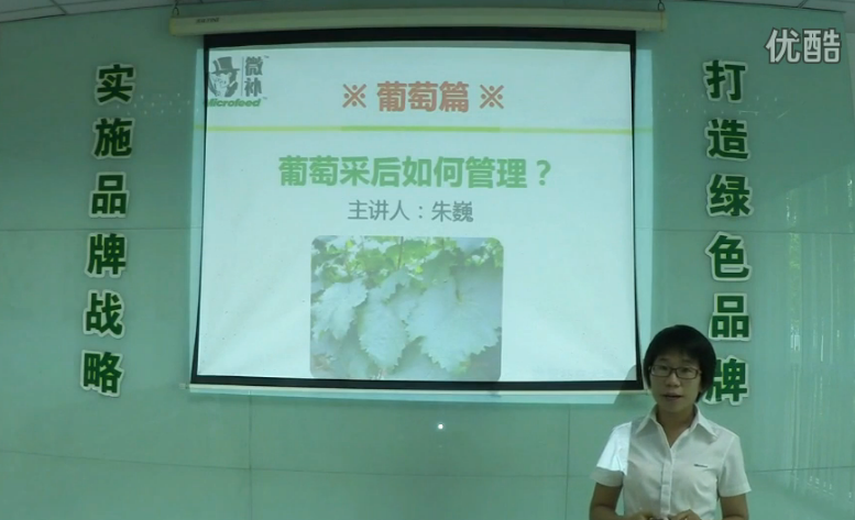 葡萄-采后恢復(fù)樹勢、來年花芽分化好.微補(bǔ)講座