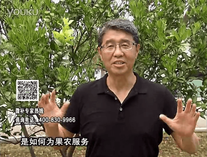 20160912珠江臺搖錢樹：針對果場面積、缺素營養(yǎng)、設(shè)施管理、投入產(chǎn)出，微補(bǔ)做個(gè)性化定制服務(wù)
