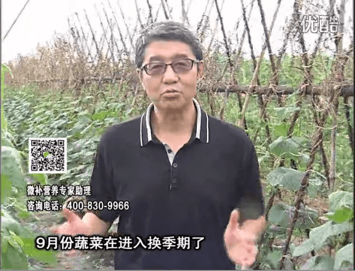 20160926珠江臺搖錢樹：換季蔬菜淋根力鈣精力促根壯長，淋微補(bǔ)調(diào)力調(diào)酸減少病害
