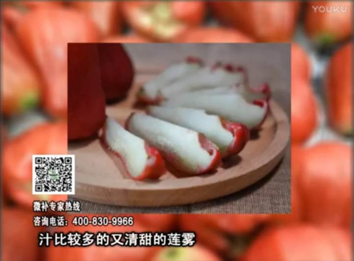 20170424珠江臺搖錢樹：蓮霧淋沖微補(bǔ)水肥，壯長、提高果實(shí)品質(zhì)賣價